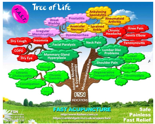 Introduce a new acupuncture technique-Fu’s Subcutaneous needling